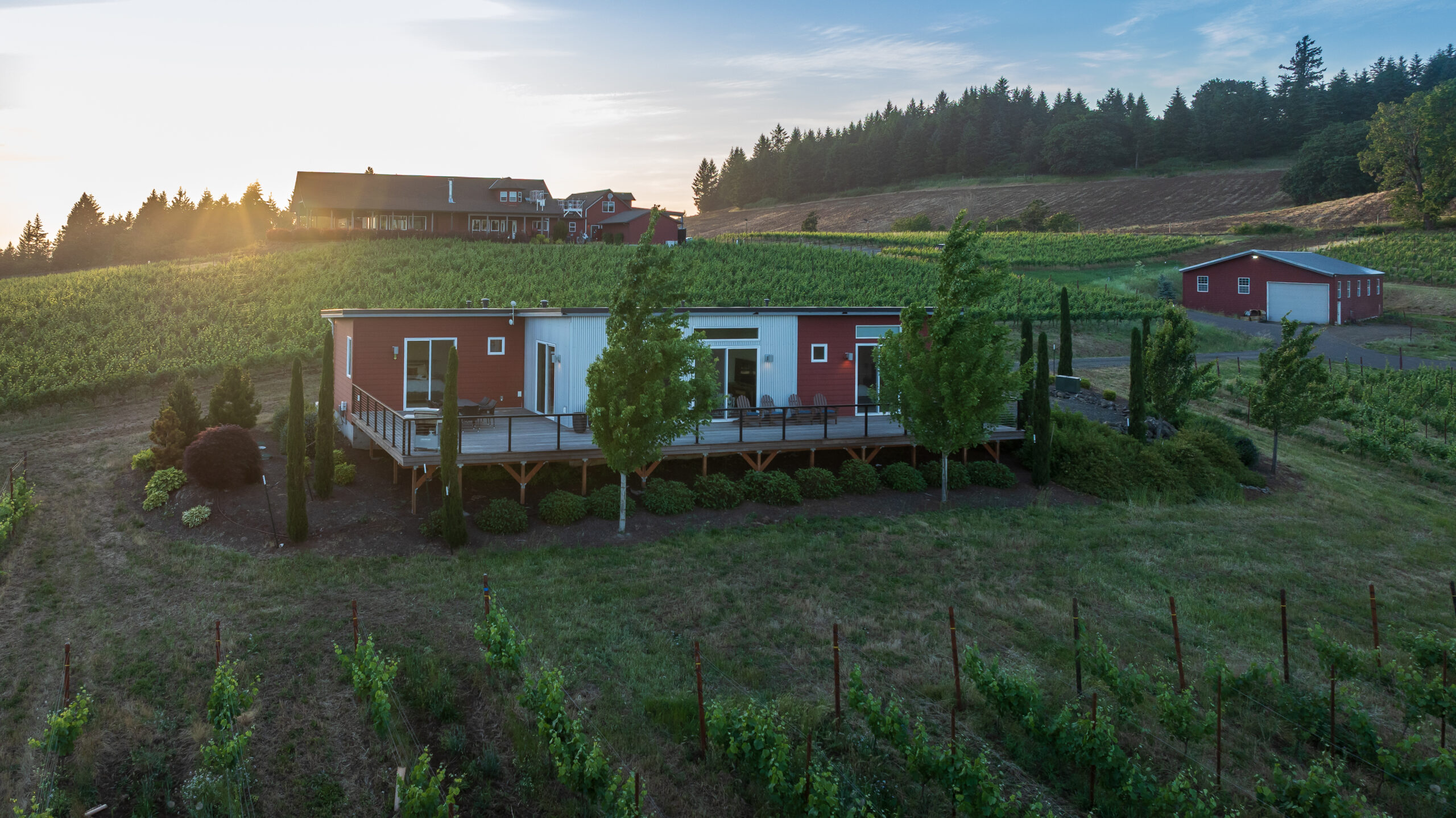 Wide aerial view of the Bryn Mawr house nestled in vineyards at sunset, wraparound deck visible with railings, surrounded by cypress and landscaped plantings.