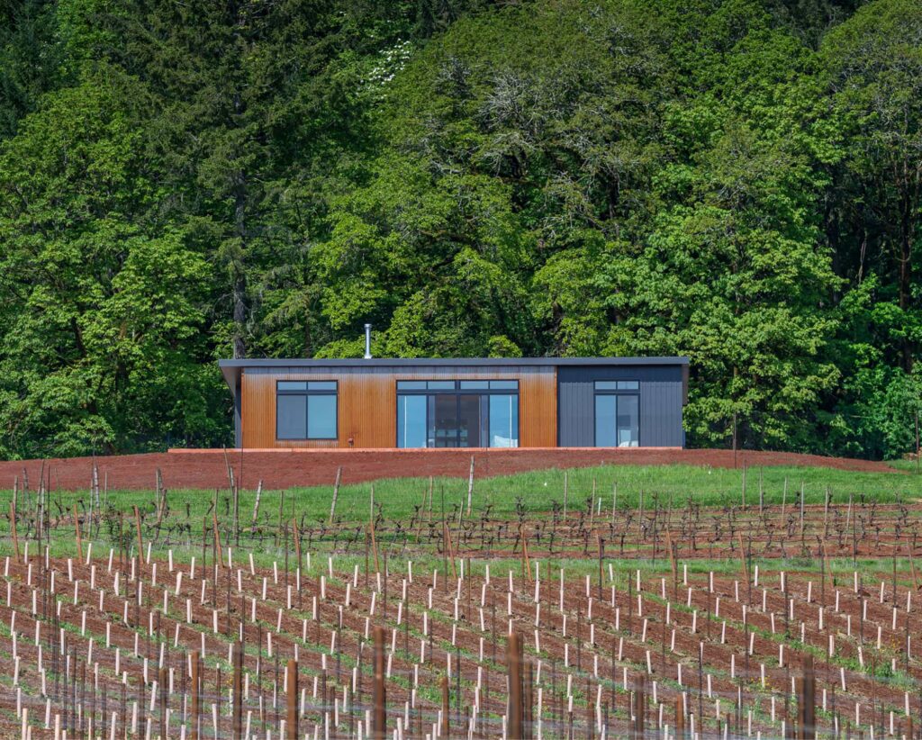Straight-on view of the Bryn Mawr Vineyards Guest Cottage set against a lush forest backdrop, with newly planted vineyard rows in the foreground.