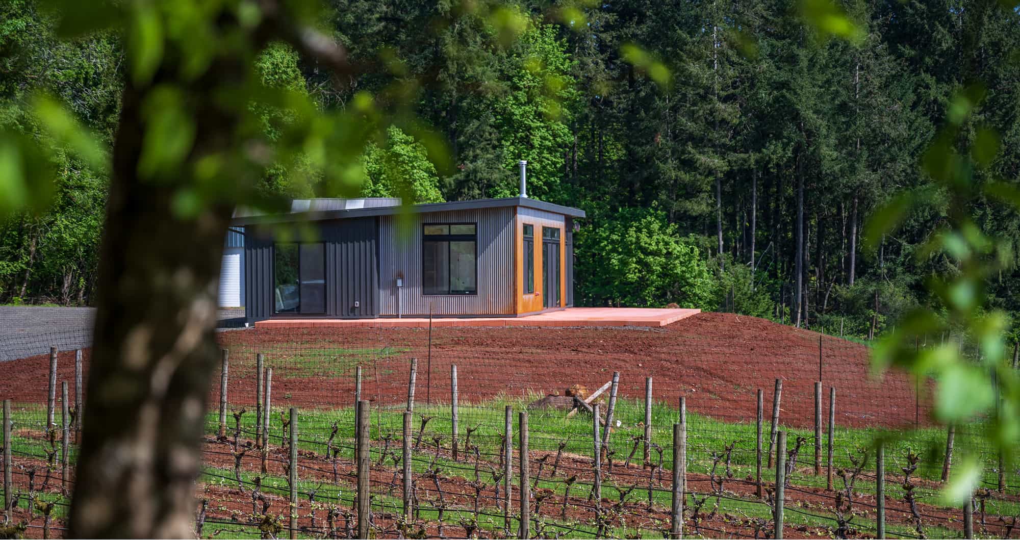 Mcintyre Video Thumbnail. Modern home exterior surrounded by a lush vineyard under a clear sky.