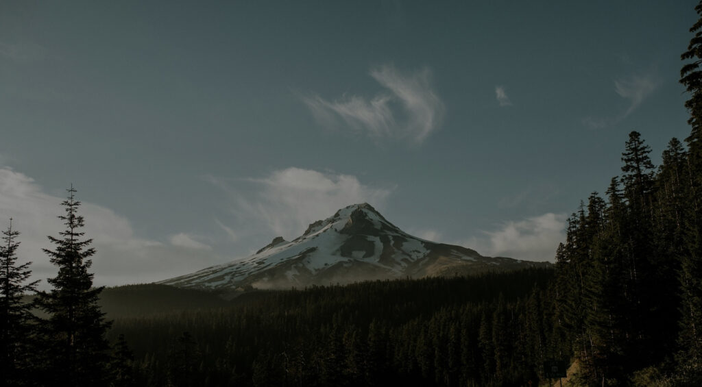 Snow-capped mountain peak above a dense evergreen forest under soft morning clouds—a Pacific Northwest landscape reflecting Ideabox’s nature-inspired, region-rooted design.
