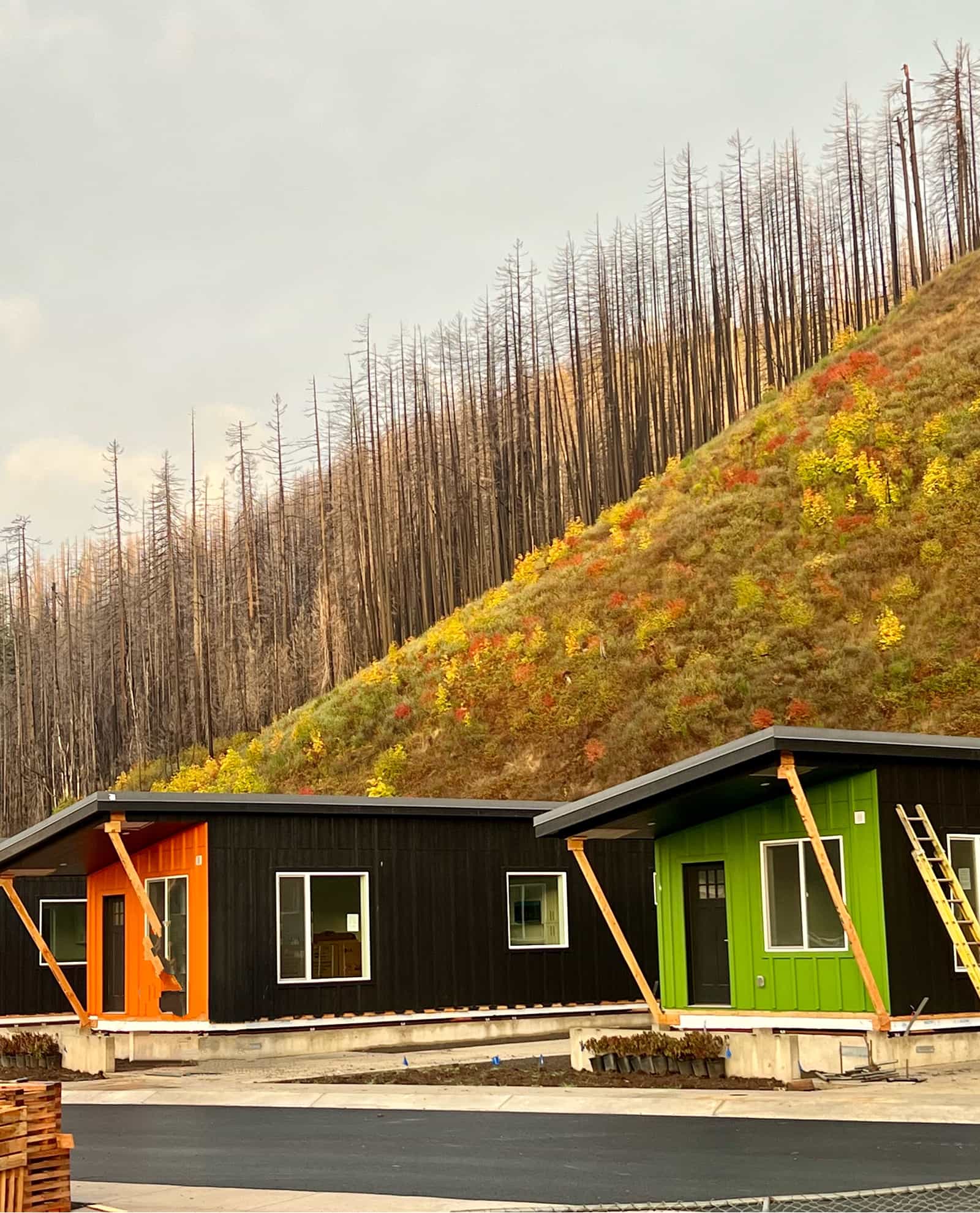 Installed Ideabox modular homes with green and orange exteriors on hillside